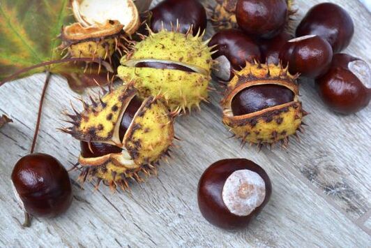 horse chestnuts for back pain