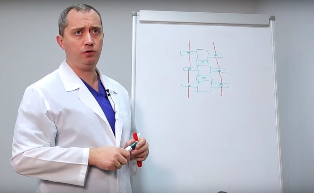 The doctor shows the structure of the spinal cord